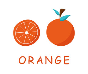 Orange citrus fruit doodle icon set . Flat colorfulmandarin. Juicy food isolated on white background. Orange slice.