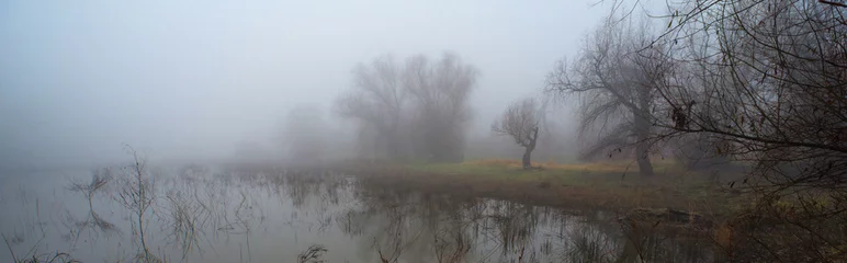  Creepy landscape showing misty dark swamp in autumn  © Solid photos