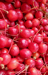Pile of Fresh Ripe Cherries for Sale on the Local Market of Armenia