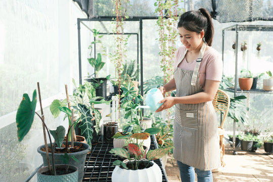Young woman plant owner shop watering plants in a plant shop.