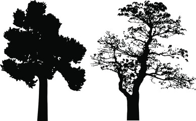 Vector silhouette of trees. Isolated eps 10.