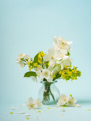 jasmine flowers on blue background top view. frame with jasmine flowers and space for text. delicate background with white jasmine flowers. white flowers flat lay.