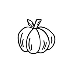 Doodle pumpkin, Halloween decoration. Hand-drawn gourd, vegetarian food, proper nutrition, healthy diet. Sketch, minimalism, line art. Isolated. Vector illustration