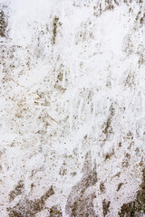 Grungy section of wall ideal for backgrounds