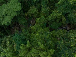 Aerial view of beautiful tropical forest mountain landscape