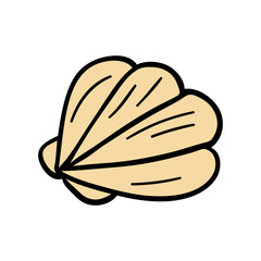 Beautiful shell in doodle style. Symbol of summer and sea. Find on the sandy beach. Simple icon in boho style. Vacation items. Clipart for stickers, packaging, postcards.