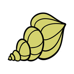 Beautiful sea spiral shell. Seashell with the sound of the sea. Simple icon in boho style. Find on the beach. Element for seasonal design. Print for stickers. Symbol of summer and sea.