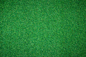 Green grass background