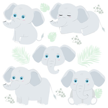 Cute little elephant illustration set