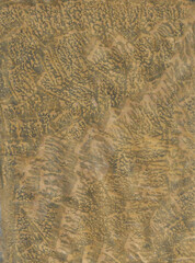 Real Paint Background