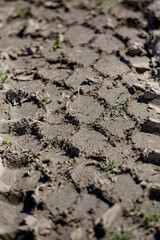 a trace of car tires on drying soil