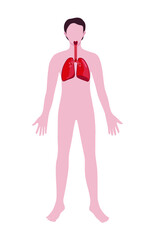 Man with drawn lungs on white background. Anatomy concept