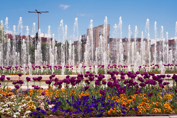 Beautiful fountains and colorful flowers in Culture Park of National Palace in summer in Sofia , Bulgaria city center, Europe
