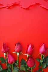 Red rose flower on red background with copy space, Love or Valentine day concept. 