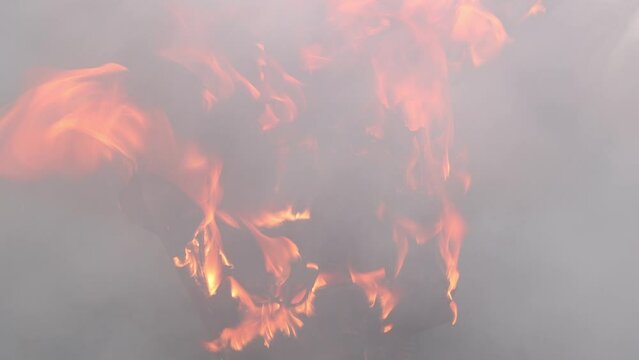 Electrical fire due to short circuit in electrical wiring of switchboard.