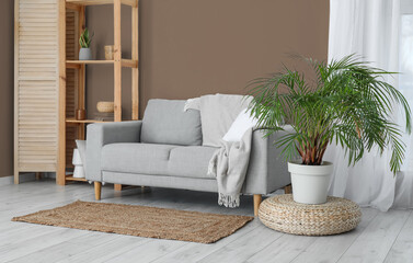 Interior of light living room with grey sofa, shelving unit and houseplant near brown wall