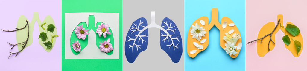 Collage of paper human lungs on color background, top view