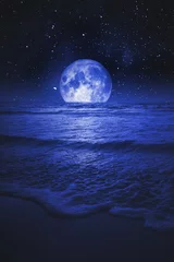 Crédence de cuisine en verre imprimé Pleine Lune arbre mer nocturne et pleine lune