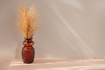 Stylish modern Natural dried pampas grass in brown vase on a natural background. Composition in the...