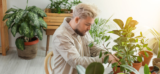 Naklejka na ściany i meble Young gardener taking care of plants at home