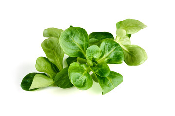 Spinach salad, isolated on white background.