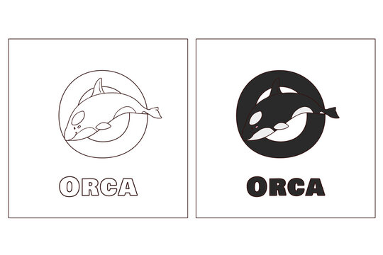 A For Orca Hand Drawn Coloring Page