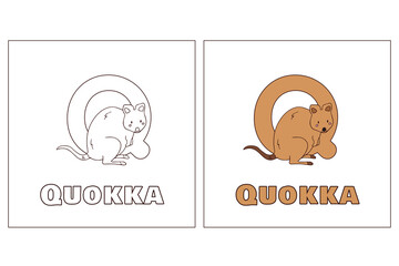 A for quokka Hand Drawn Coloring Page