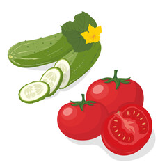 Cucumber and tomato. Whole cucumber and tomato, half, chopped, slices. Set of natural and tasty vegetables. Organic vegetables. Vector illustration isolated on white background. Vegetarian food.