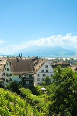Fototapeta na wymiar A picture of housing area at Rapperswil with Zurich Lake and mountain from vineyard.