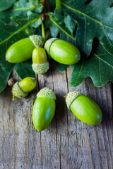 Green acorns with leaves on a wooden surface © rashevskiy