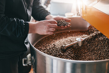 Male master checks the quality of roasting coffee beans on small factory. Close-up