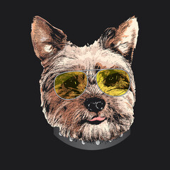 Yorkshire Terrier portrait, Cute cool dog in glasses, Vector illustration