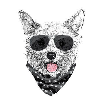 Yorkshire Terrier portrait, Cute cool dog in glasses and bandana, Vector illustration
