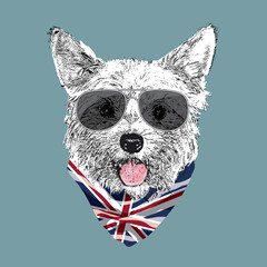 Yorkshire Terrier portrait, Cute cool dog in glasses and UK flag bandana, Vector illustration