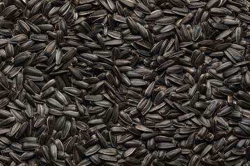 Black sunflower seeds as background