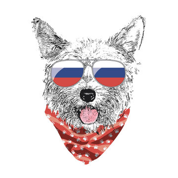 Yorkshire Terrier portrait, Cute cool dog in Russia flag glasses and bandana, Vector illustration