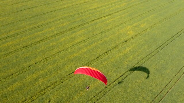 Aerial view of paramotor flying over canola fields, Tekirdag, Turkey.