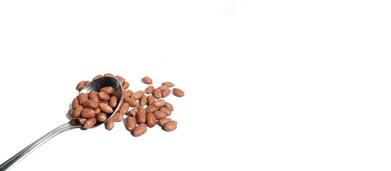 Peeled beans with stainless steel spoon isolated on a white background, flat landscape with empty space to enter text
