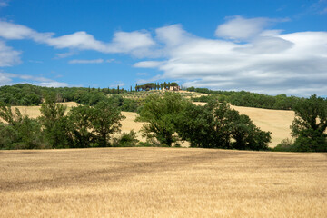 Obraz premium Tuscany landscape with wheat fields and hills, cypress trees and parasol pines in background, Italy