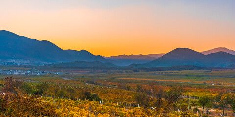 Mountain landscape with a vineyard with yellow leaves in a valley between mountains in the late...