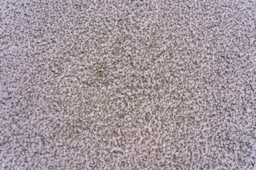 Natural dried salt on the shore of the gulf with rose water as a natural background
