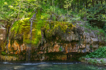 waterfall with green moss and plants in luxemburg