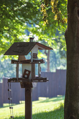 bird house in the forest