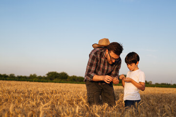 father learning his son about agricultural business. they are standing in wheat field and looking...