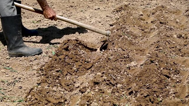 Farmer in rubber boots use hoe to dig trenches for planting seeds, agitating earth surface with hand tool
