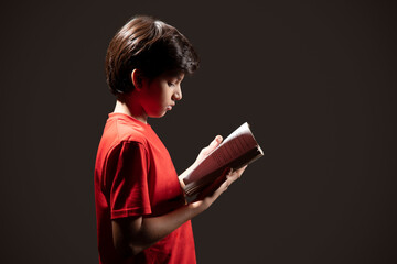 Portrait of boy reading book against dark background © IndiaPix