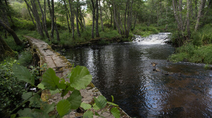 Old destroyed dam on a mountain river among green forests