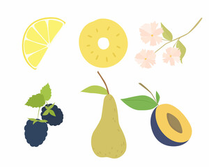 Set of vector images of different fruits. Designer drawing of colorful fruits: pear, plum, blackberry, lemon, flower, pineapple