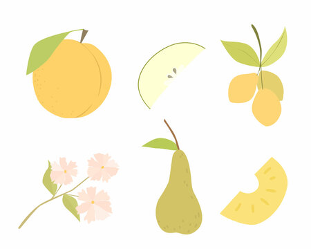 Set of vector images of different fruits. Designer drawing of colorful fruits: cherry plum, apple, persin, pineapple, pear, flowers