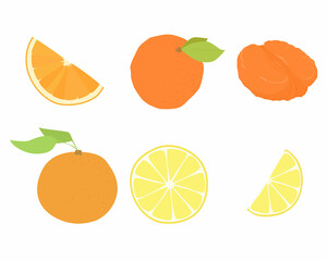Set of vector images of different fruits. Designer drawing of colorful fruits: tangerine, orange, lemon, citrus slice